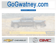 Tablet Screenshot of gogwatney.com